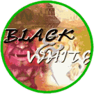 blackwhitebyk1.gif