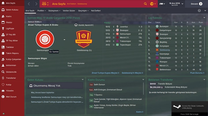 Football Manager 2015 - Grnt 1