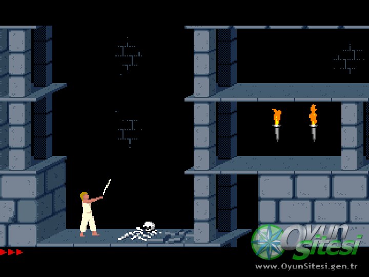 Prince of Persia - Grnt 8