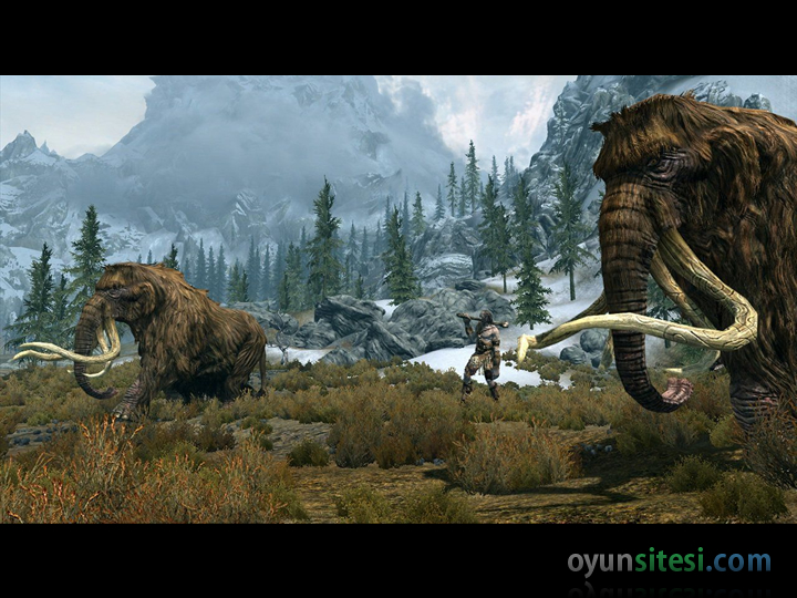 The Elder Scrolls V: Skyrim - G�r�nt� 8